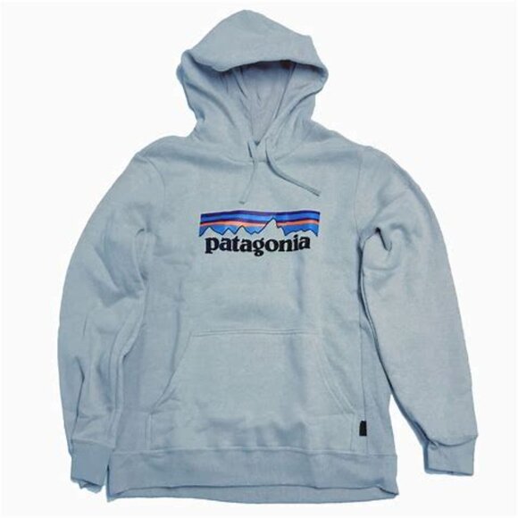 NWT Patagonia Light Blue P-6 Logo Hoodie - Picture 1 of 5